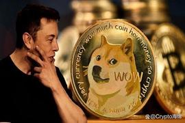 LEASH:突发新闻：埃隆·马斯克表示X永远不会推出加密代币，看好狗狗币？_SHIBA