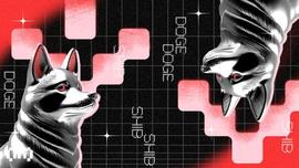 SHIB:Shiba Inu (SHIB) 会反弹并保存 350 天模式吗？_MEM