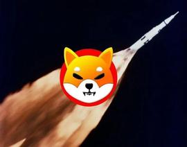 比特币:Shiba Inu 每年燃烧 111 万亿代币：神话还是现实？_BTCVB
