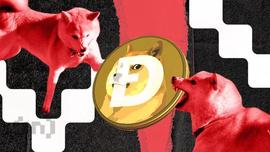 DOGE:支持水平崩溃后狗狗币 (DOGE) 的下一步在哪里？_STARLINKDOGE价格