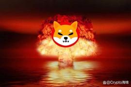 TOKEN:柴犬燃烧记录：有多少SHIB代币消失了？_SHI