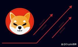 BCH:柴犬8000亿SHIB抛售引发市场混乱_Wario Coin