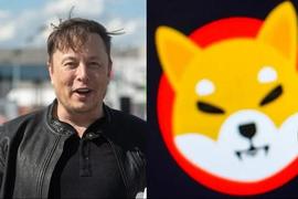 ELON:Elon Musk 最近的推文引起了 Shytoshi 和 Shiba Inu Army 的注意_elon币简介