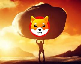 SHIB:Shiba Inu 到2024年可以达到10美元吗？这是一个现实与幻想的检查_BAR
