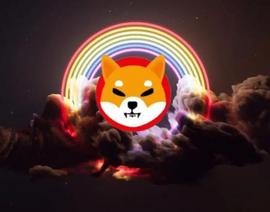 SHIB:Shiba Inu：100 美元可以在 2 年内变成 1400 万美元，方法如下_AGENTSHIBAINU
