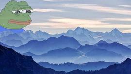 MEM:PEPE 代币继续螺旋式下跌，从历史高位下跌 60%_Pepe Next Generation