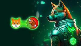 SHIBA:Shiba Inu (SHIB) 区块链 Shibarium 将于本周推出 Beta 版_USD