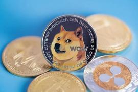 BAR:狗狗币价格上涨 10% 将对 200 亿 DOGE 产生这种影响_SHIBASWIFE
