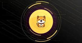 BTC:随着 Shiba Inu，Dogecoin 冬眠，BabyDoge Coin 反弹 47%_YDOGE