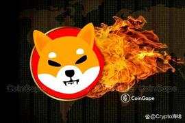 AINU:Shiba Inu (SHIB) 销毁率跃升 100%，这是价格反应_AGENTSHIBAINU价格