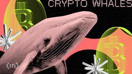 ANN:比特币鲸鱼从 12 年的冬眠中崛起，移动 139 BTC_CannabisCoin