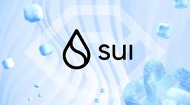 PEPE:SUI 代币：投资者应了解此风险_SUIA价格
