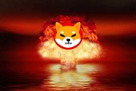 AINU:Shiba Inu 燃烧率飙升 30,000%；SHIB价格能否卷土重来？_SHIBAI