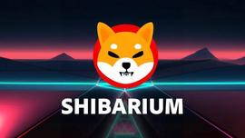 BONE:Shiba Inu：火币在 Shibarium 之前上架 BONE 代币_vabonchain