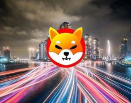 比特币:Shiba Inu 可能会在本周发布其冷钱包_比特币SV
