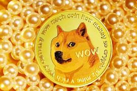 APP:回调可能出现在狗狗币（DOGE）的卡片中：这就是原因_比特币