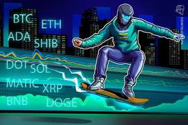 CEO:价格分析 3/16：BTC、ETH、BNB、XRP、ADA、DOGE、SOL、DOT、SHIB_UDOGE币