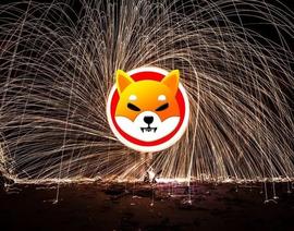SHIBA:柴犬（SHIB）年度最大燃烧：1笔交易烧掉11亿_ordi币实时价格