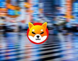 TTE:Shiba Inu：1,000 美元的投资在 2023 年 4 月变成 2200 万美元_A Hunters Dream