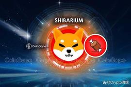 SHIBA:Shiba Inu 首席开发人员发布了最终的 Shibarium 扩展更新_SHI