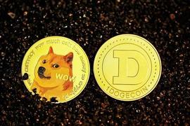 NVT:狗狗币（DOGE）波动性上升：投资者的福音？_nvt币价格