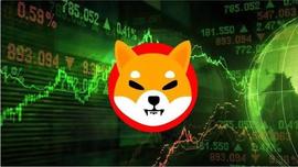 SHIB:Shiba Inu 基本面看起来强劲，SHIB 价格何时跟随？_SHI