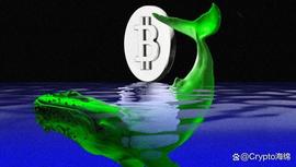 ODE:比特币鲸鱼：美国实体在三周内积累了 7.1 万BTC_ROCKETFI