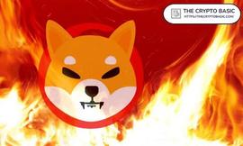 SHI:Shiba Inu 以一声巨响开始一周，因为 3B SHIB 立即燃烧_PalletOne