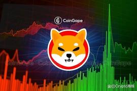 SHI:柴犬（SHIB）夺回涨幅，但这一指标表明更好的日子就在前方_SHIBA