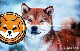EFI:「币圈资讯」柴犬生态系统中BONE、SHIB、LEASH的盈利能力差异_DEFI