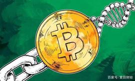 KKT:关于比特币暴跌，这5件重要的事，你必须知道_Wrapped USD