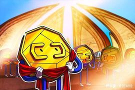 MAD:巴基斯坦朝加密货币领域艰难地迈出了第一步_MMACOIN