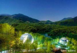 区块链:十个“脑洞大开”的区块链应用，其中涉及月球、宠物和教育_PETH