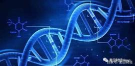 SHO:谷歌实现量子霸权之后，量子计算vs区块链，比特币神话即将终结？_Petrachor