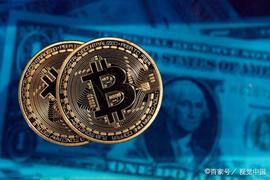 BTC:比特币是一种用通货紧缩掠夺人民的货币_WBTC价格