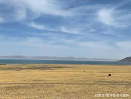 区块链:区块链安全——什么是51％的攻击？_ORK