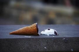 AIN:预计假跌的柴犬交易员应该阅读此内容_NUTGAIN