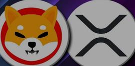 加密货币:SHIB 和 XRP的价格在这个月会达到多少？_Rainmaker Games