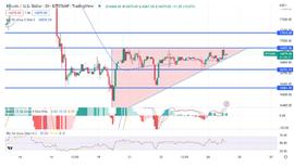 BTC:BTC价格分析，严冬天气会对BTC造成多大影响？_BTCRED价格