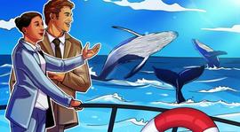 ETH:Shapella 后以太鲸数量下降——ETH 价格也会下跌吗？_SHA