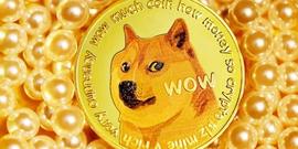 DOGE:狗狗币价格预测：惊人的上涨趋势或将席卷市场！_狗狗币最新价格行情价