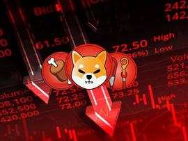 SHIB:Shiba Inu 和这 2 种山寨币因一个消息而融化！_BAR