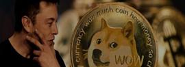 DOG:DOGE 期货爆仓！为什么 Elon Musk 将其添加到徽标中？_WIT