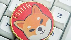 FLUX:本周对于Shiba Inu (SHIB) 来说至关重要_LUX