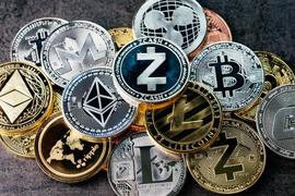 ECE:注意！本周这些事件将影响比特币和山寨币！_polydoge币项目方最新消息