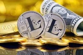 USD:LTC未来巨大潜力还未被发现？八月值得埋伏的机会有哪些？_TAL