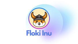 SHI:FLOKI：下一个SHIBA？_metaverse