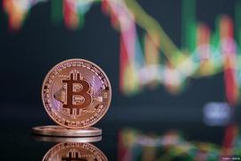 WEB:比特币进入新的反射周期：加密货币的激动人心的一章_Baby Cat Coin