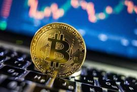 BUSD:2号美联储的加息会是对比特币的审判？_SEC