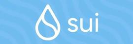 UNA:原Meta团队搞的新公链Sui，能否成为Web3最大的黑马杀手？_区块链证据保全怎么操作流程